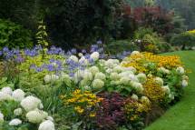 The Science Behind Choosing Colors That Complement Each Other in Gardens