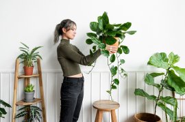 Elevate Your Greenery: Stylish Plant Stands That Also Beautify Your Home