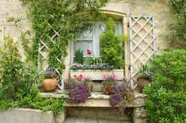 How to Transform Window Ledges into Vibrant Plant Display Areas
